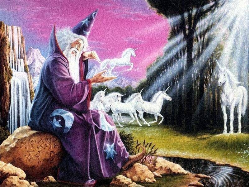 Wizard with unicorns