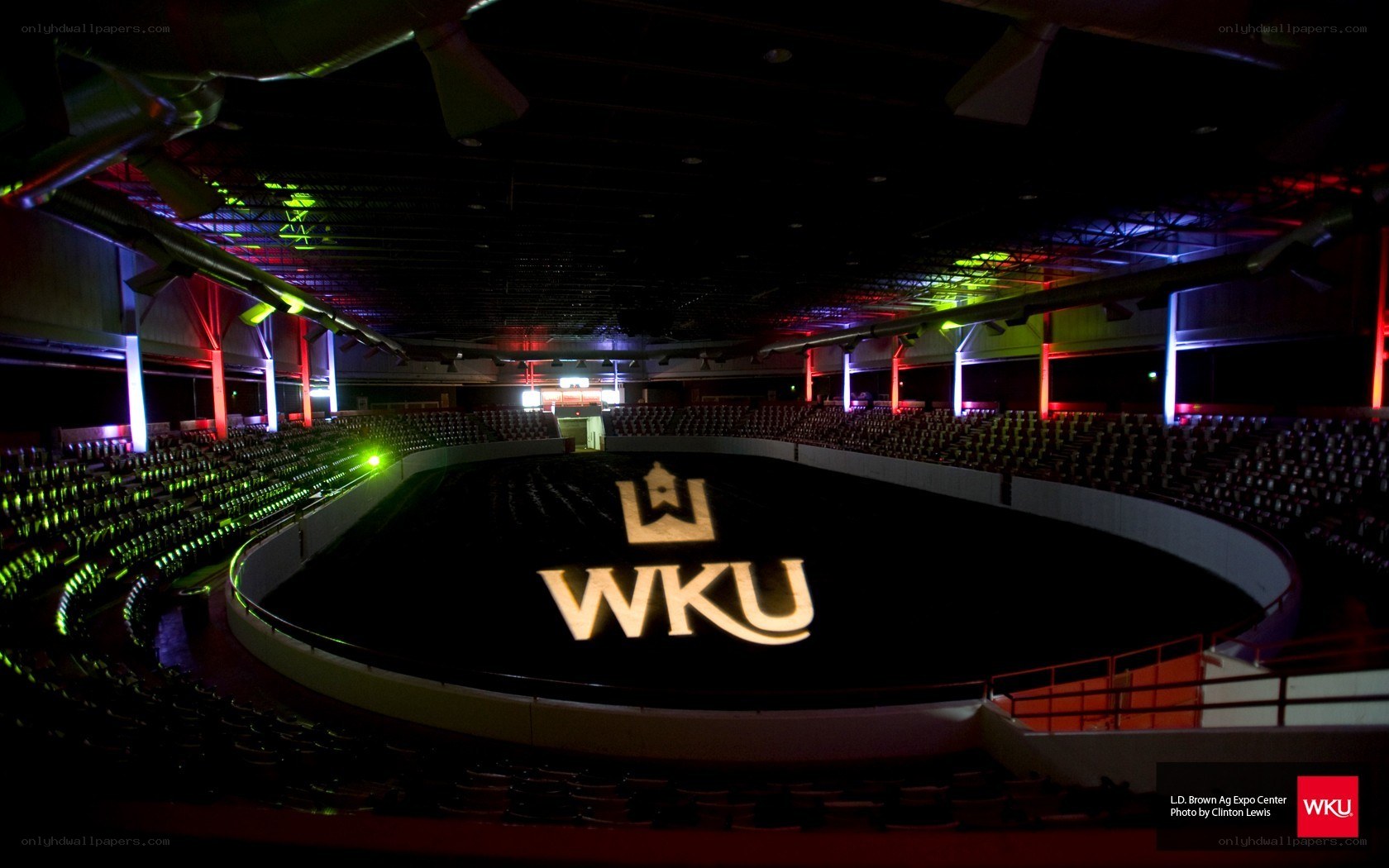 WKU logo in arena
