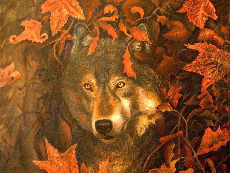 Wolf Among Autumn Leaves — Orange