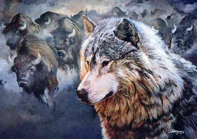 Wolf and Bison Herd — Gray