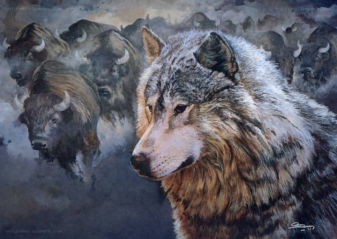 Wolf and Bison Herd