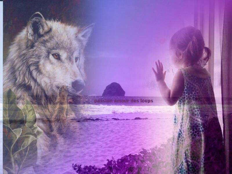 Wolf and Child at Beach