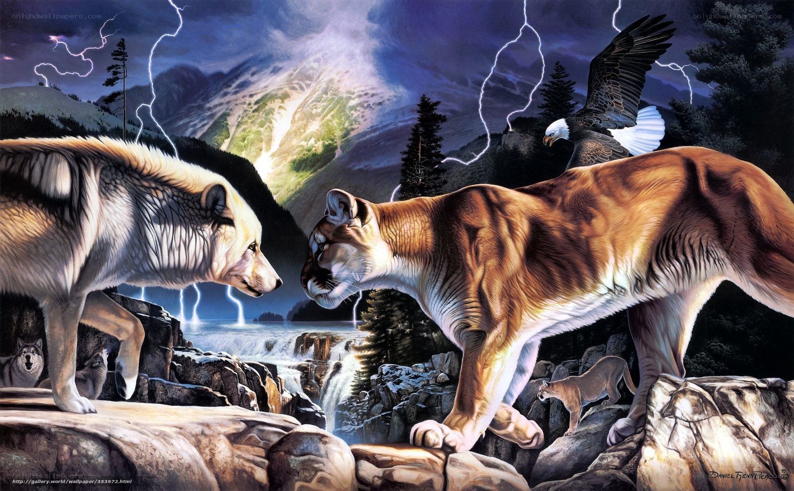 Wolf and Cougar Confrontation