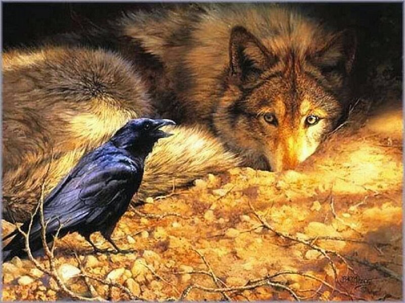 Wolf and Crow — Brown, Dramatic