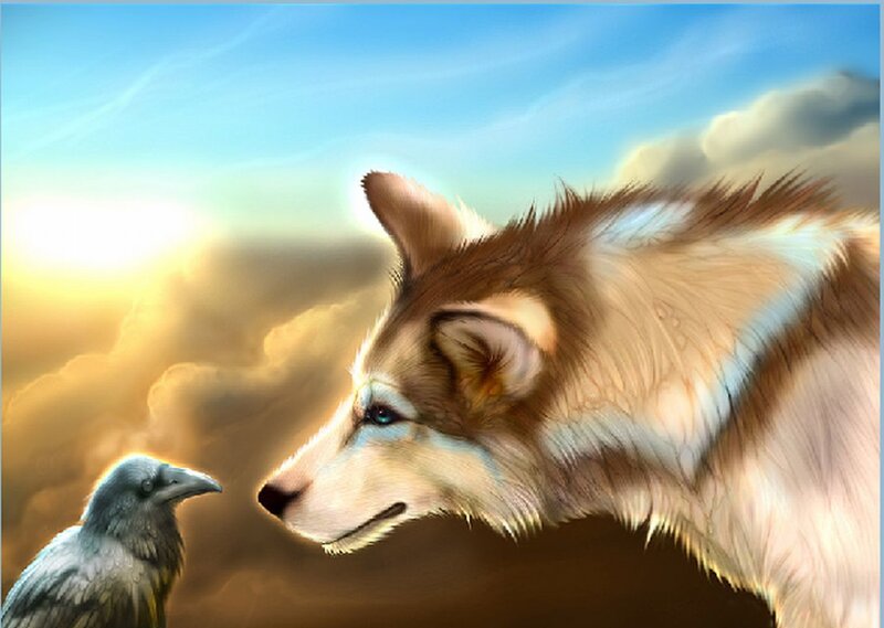 Wolf and Crow