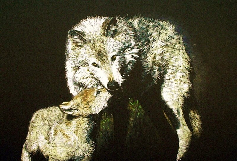 Wolf and cub in dark