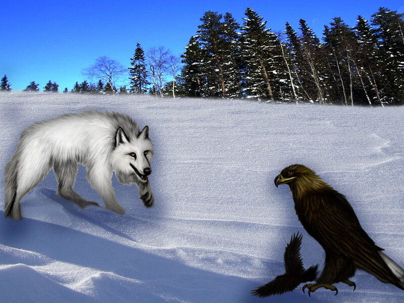 wolf and eagle in snow