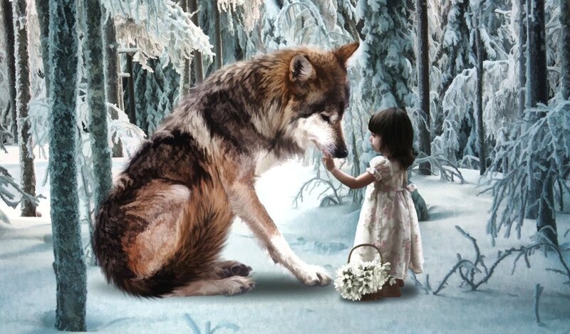 Wolf and Girl in Forest — White