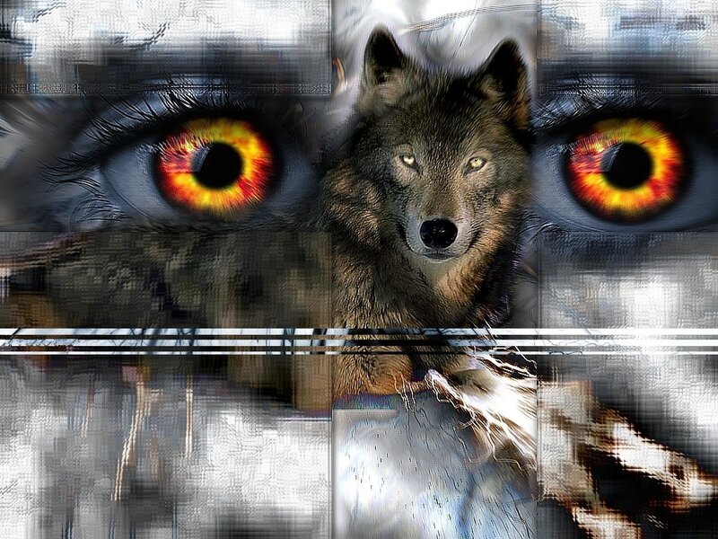 wolf and glowing eyes collage