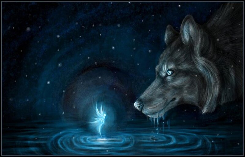 wolf and glowing spirit