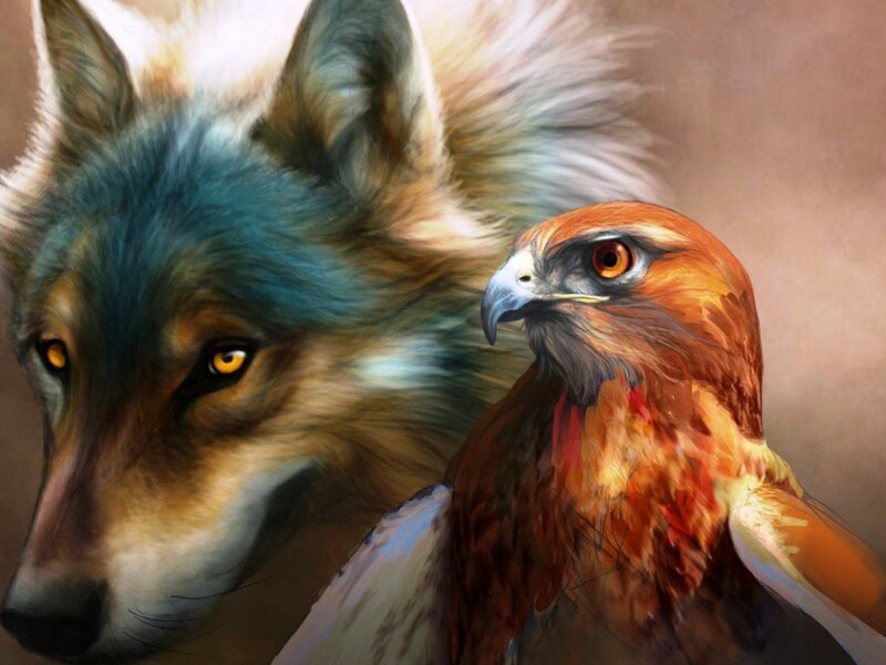Wolf and Hawk — Brown, Intense