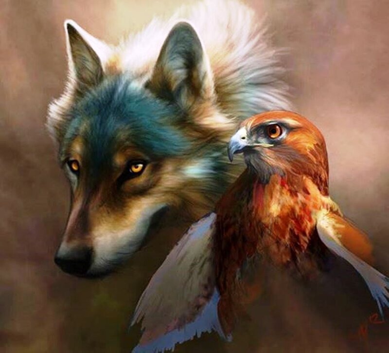 Wolf and Hawk — Brown