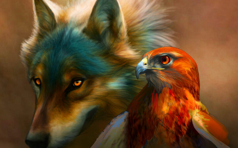 Wolf and Hawk — Orange