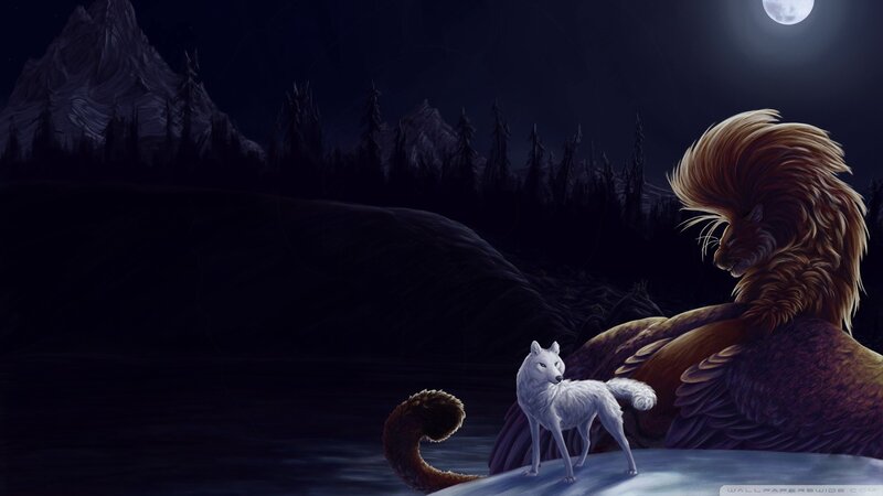 wolf and lion under moonlight