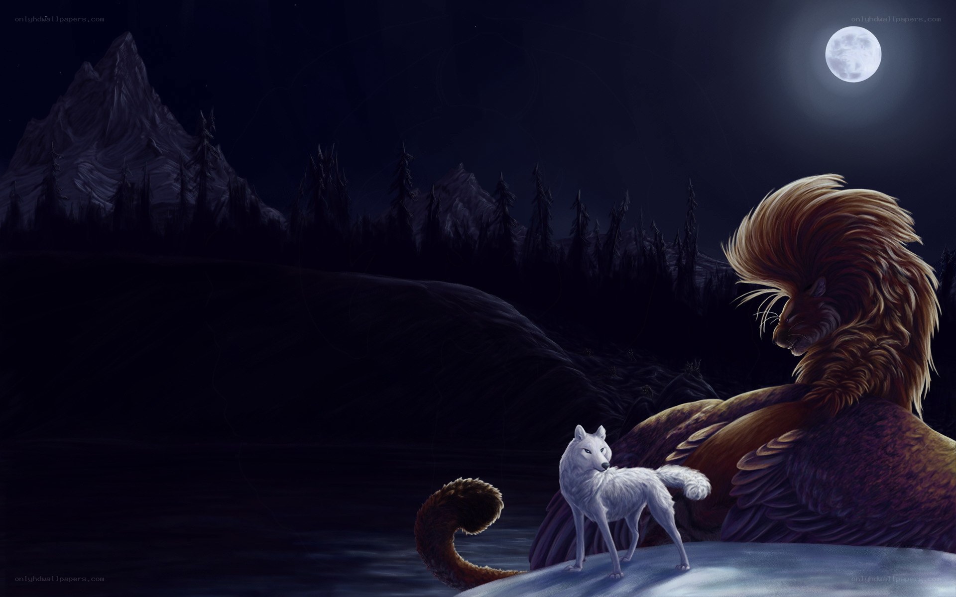 wolf and lion under moonlight