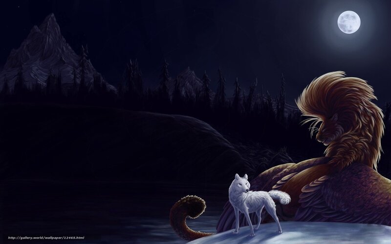 Wolf and lion under moonlight