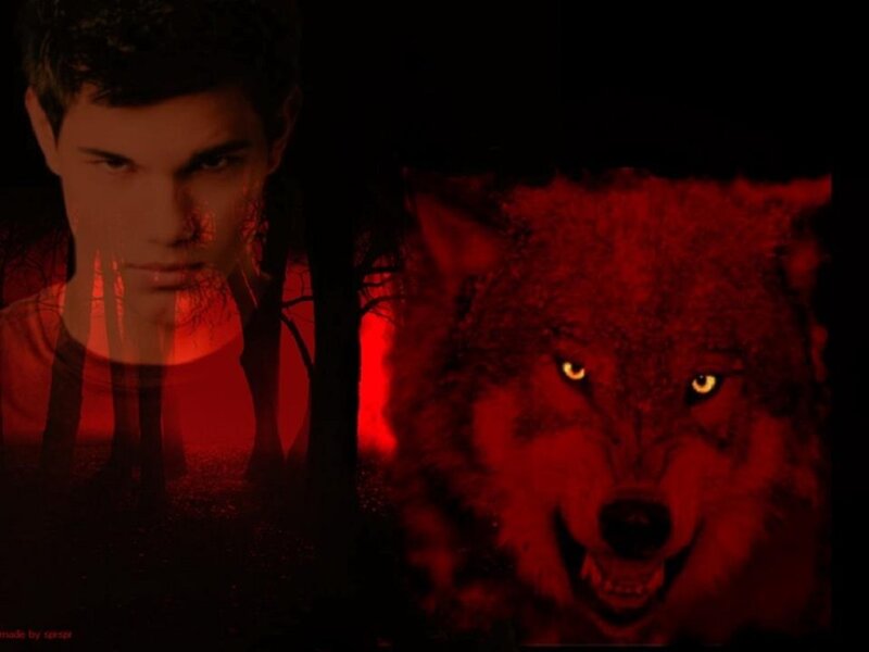 Wolf and Man in Red Light