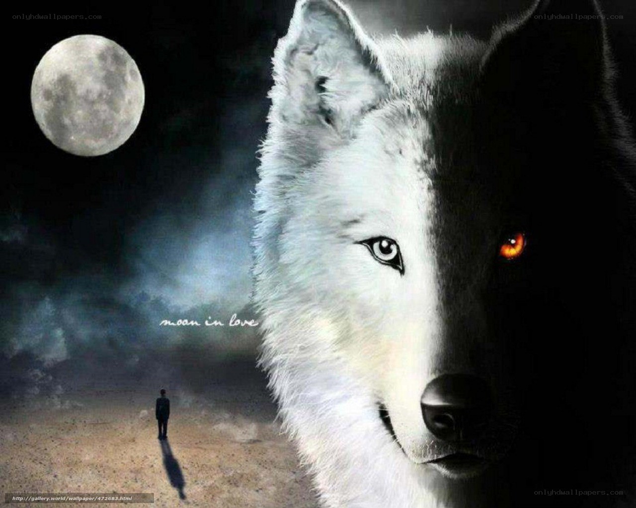 wolf and moon in love