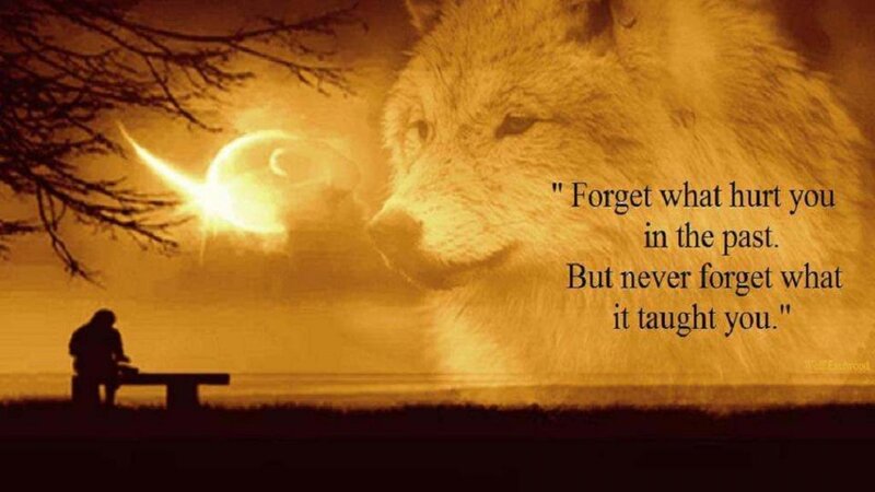 Wolf and Person Silhouette