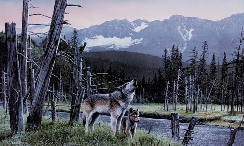 Wolf and Pup Howling