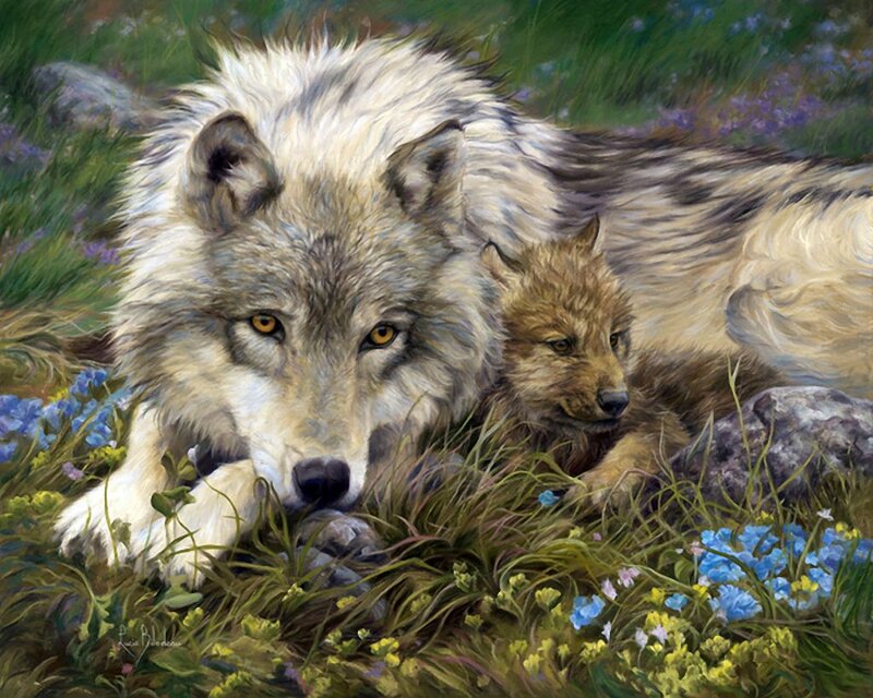 Wolf and Pup in Flowers