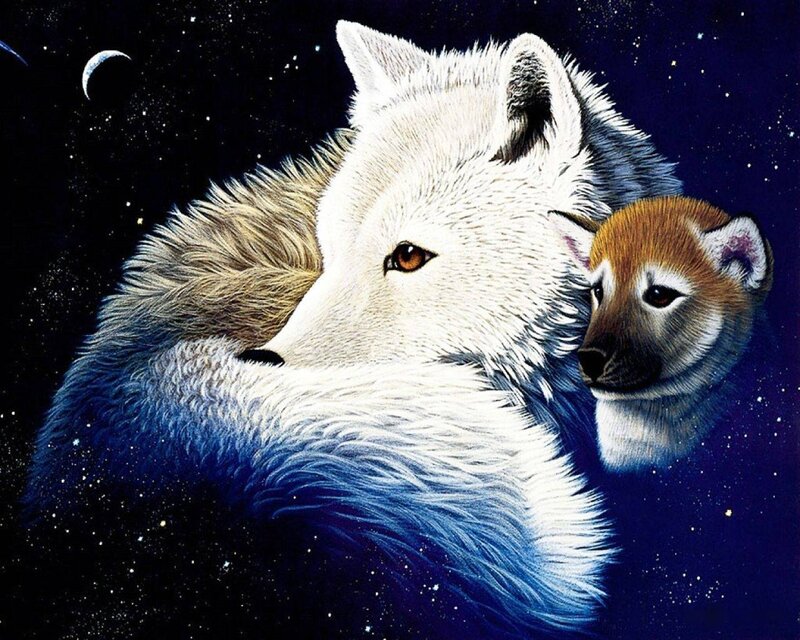 Wolf and pup in space