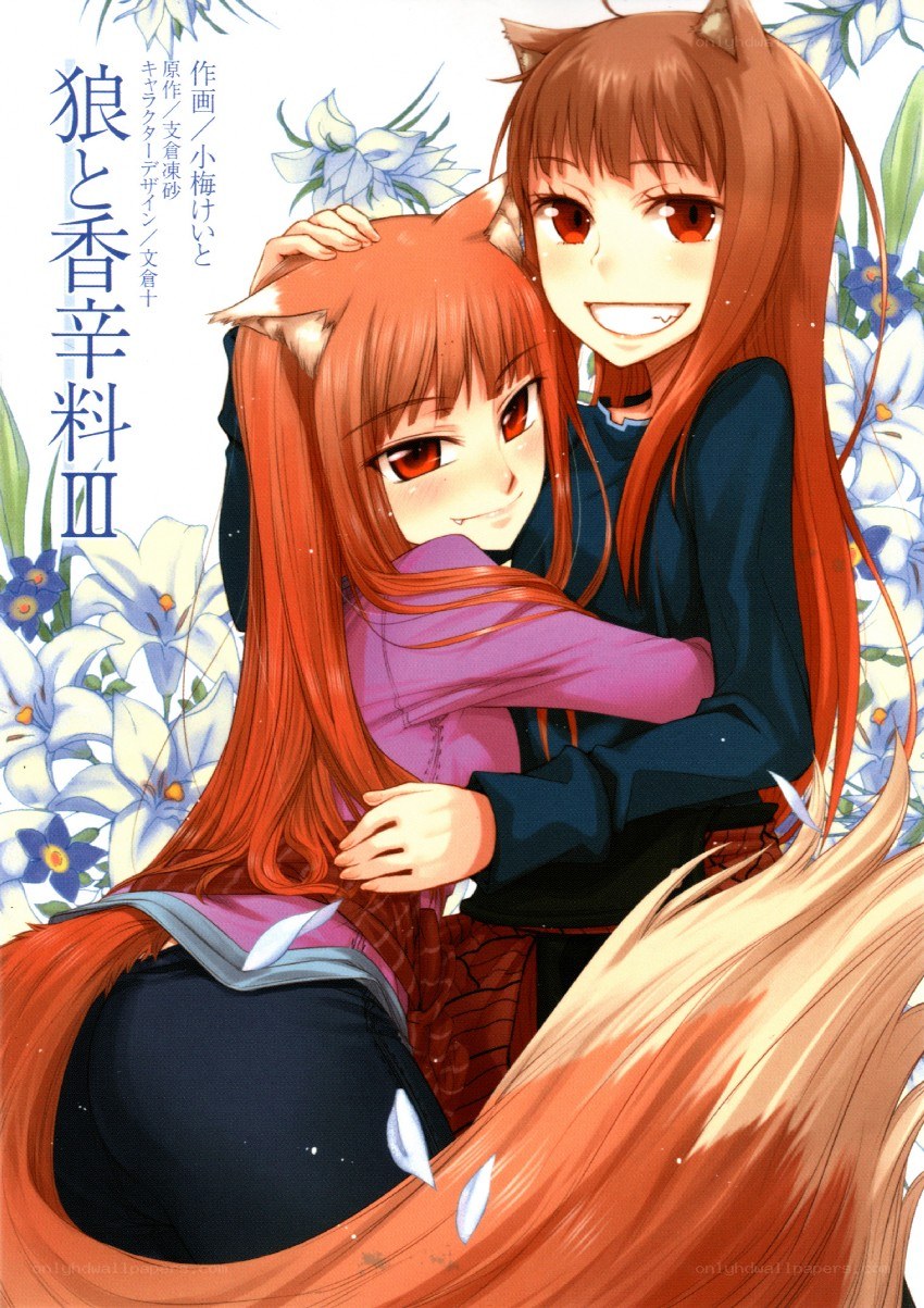 Wolf and Sake III cover art