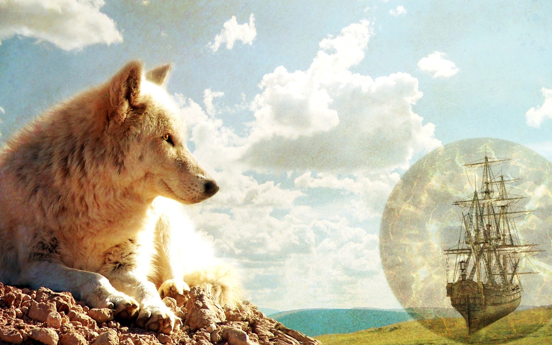 wolf and ship in a dream