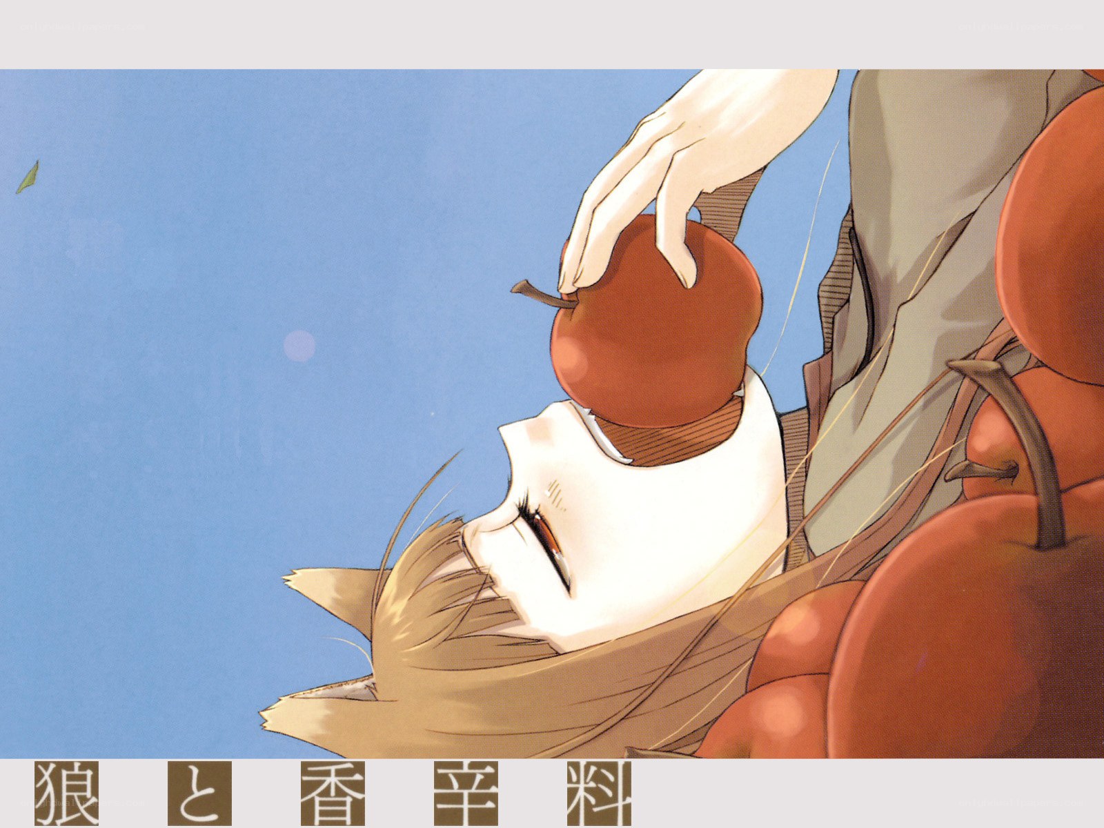 Wolf and Spices