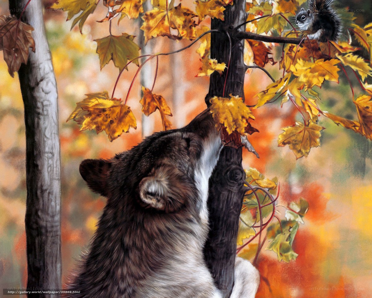 Wolf and squirrel in autumn