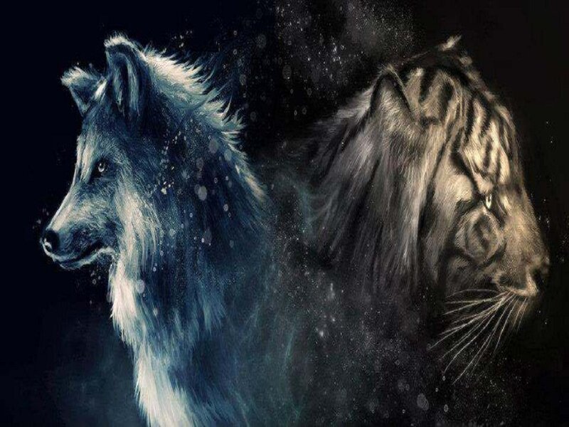 Wolf and Tiger Heads — Black