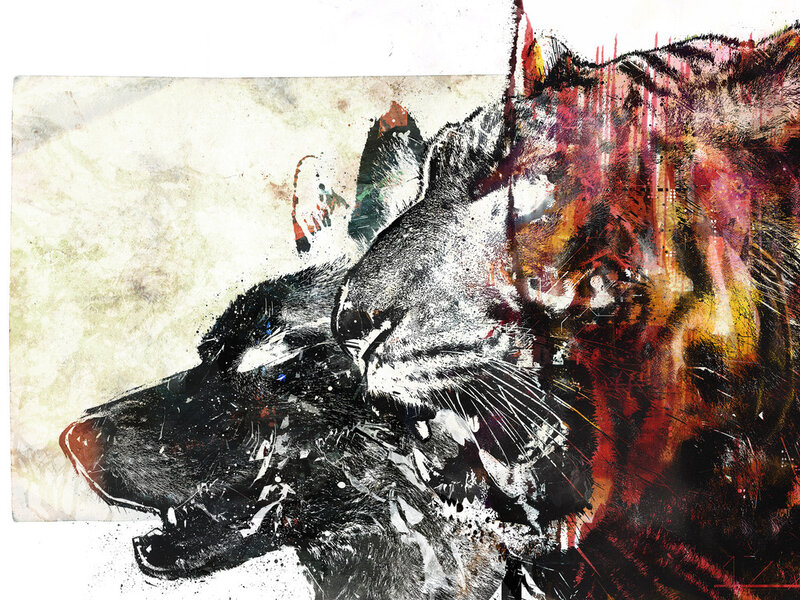 Wolf and Tiger Heads