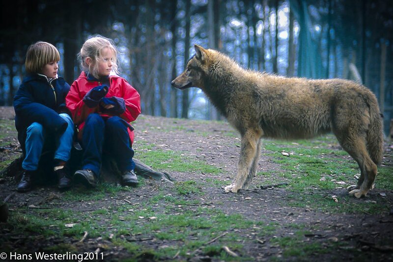 Wolf and Two Children