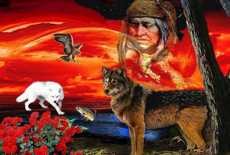 Wolf and White Wolf