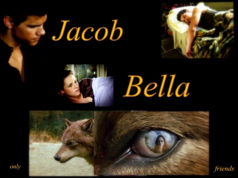 Wolf and Wolf Eye