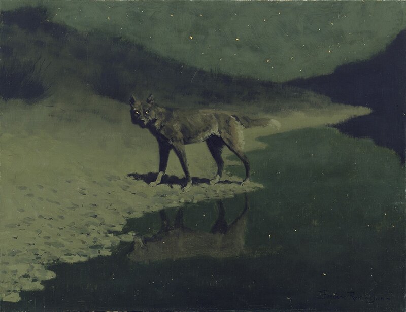 Wolf at Night by a Pond