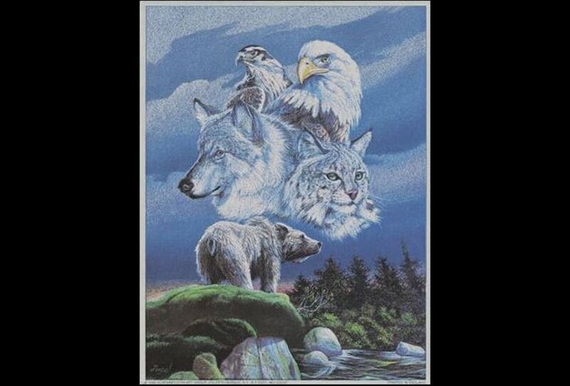 Wolf Bear Eagle Lynx
