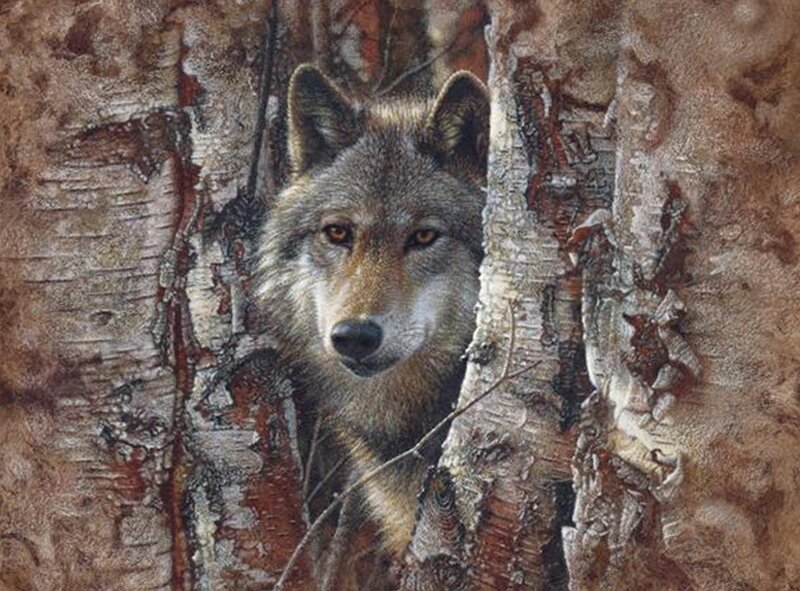 Wolf Behind Tree — Gray, Alert, Painting