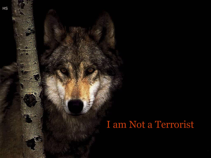 Wolf Beside Tree