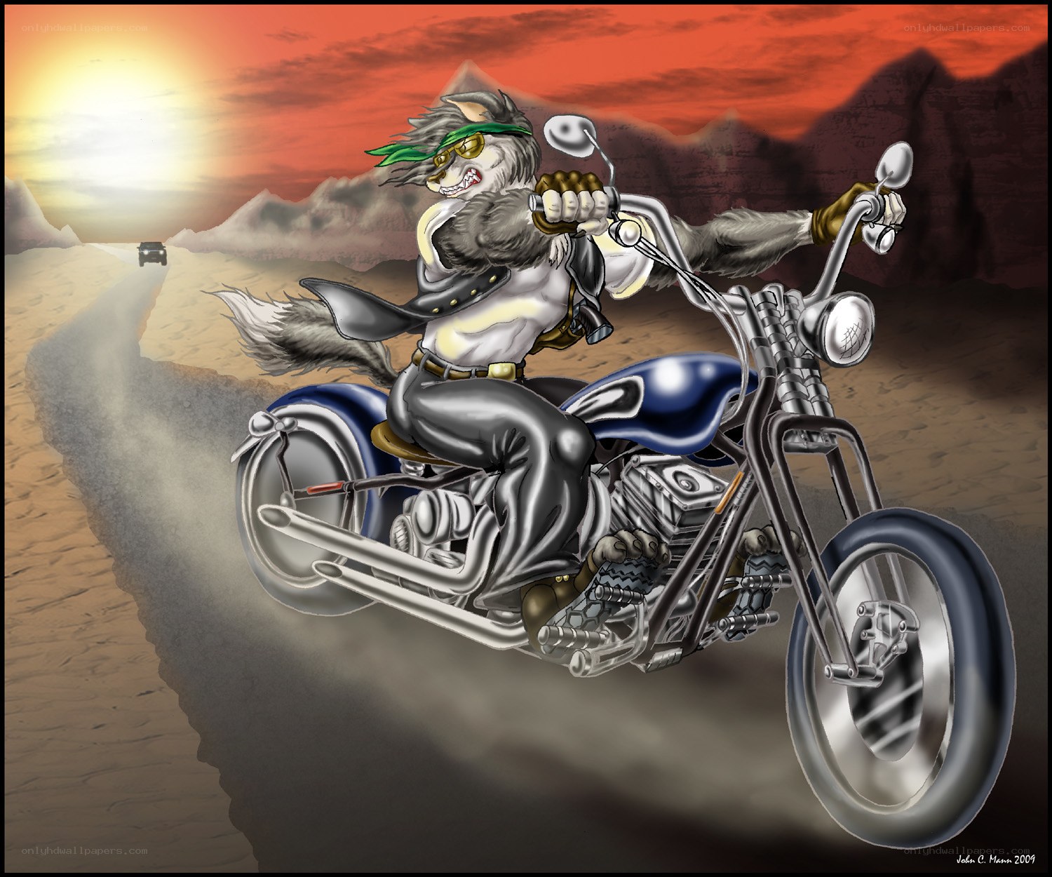 wolf biker in desert