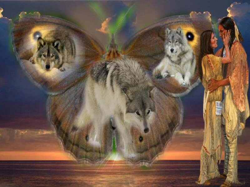 Wolf Butterfly