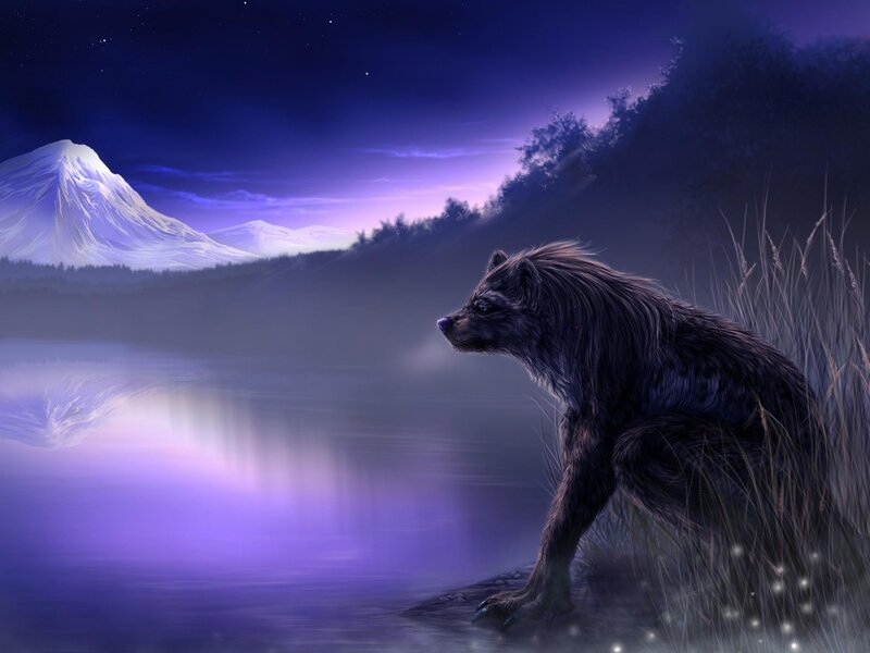 Wolf by Lake at Night