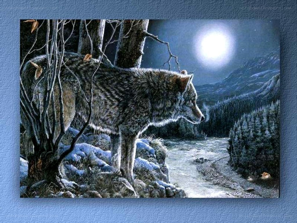 Wolf by Moonlight