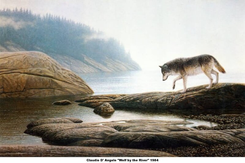 Wolf by the River