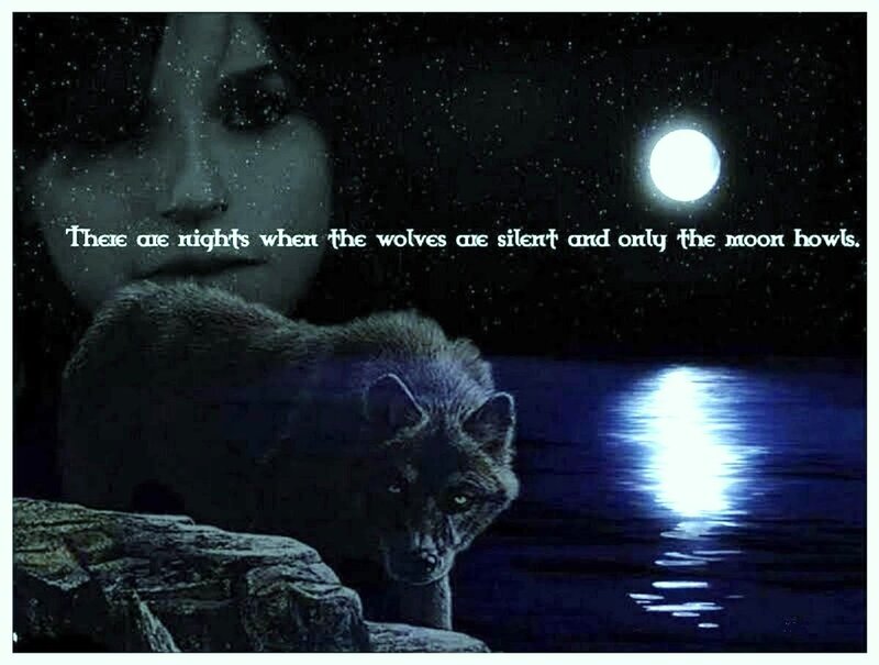 Wolf by Water