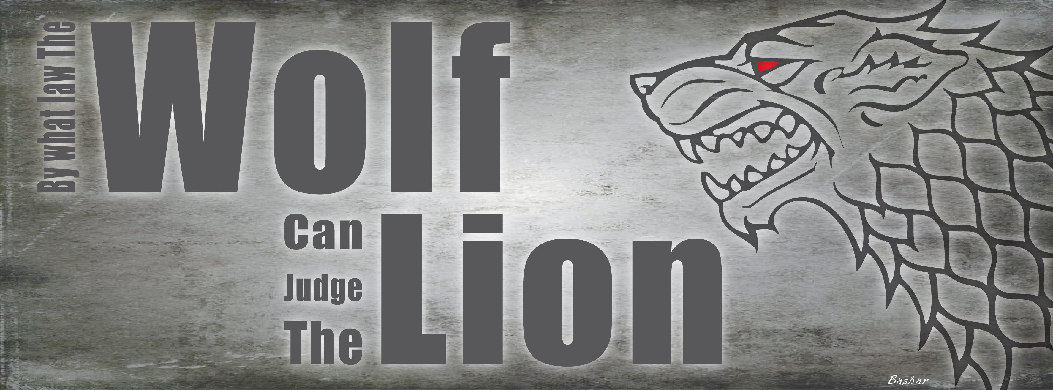Wolf Can Judge The Lion