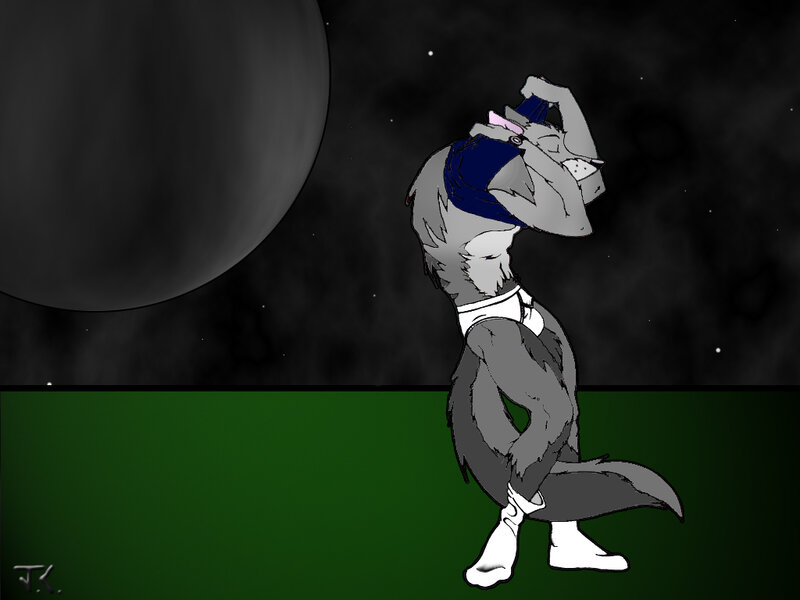 wolf character under moon