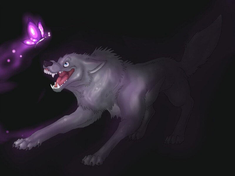 wolf chasing a glowing butterfly