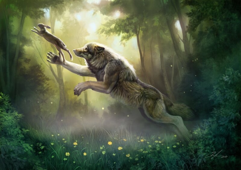 Wolf Chasing Hare