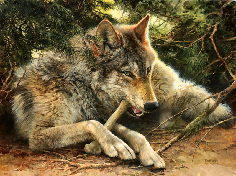 Wolf Chewing Bone